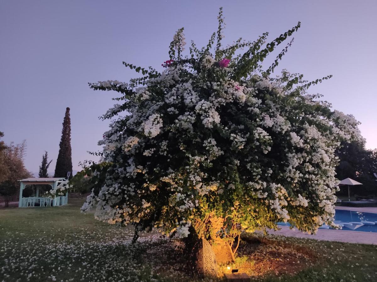 Palais Clementina & Spa Lagouassem المظهر الخارجي الصورة